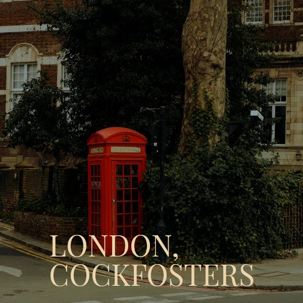 LONDON COCKFOSTERS web