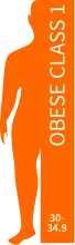 Obese Class 1 Obese Class